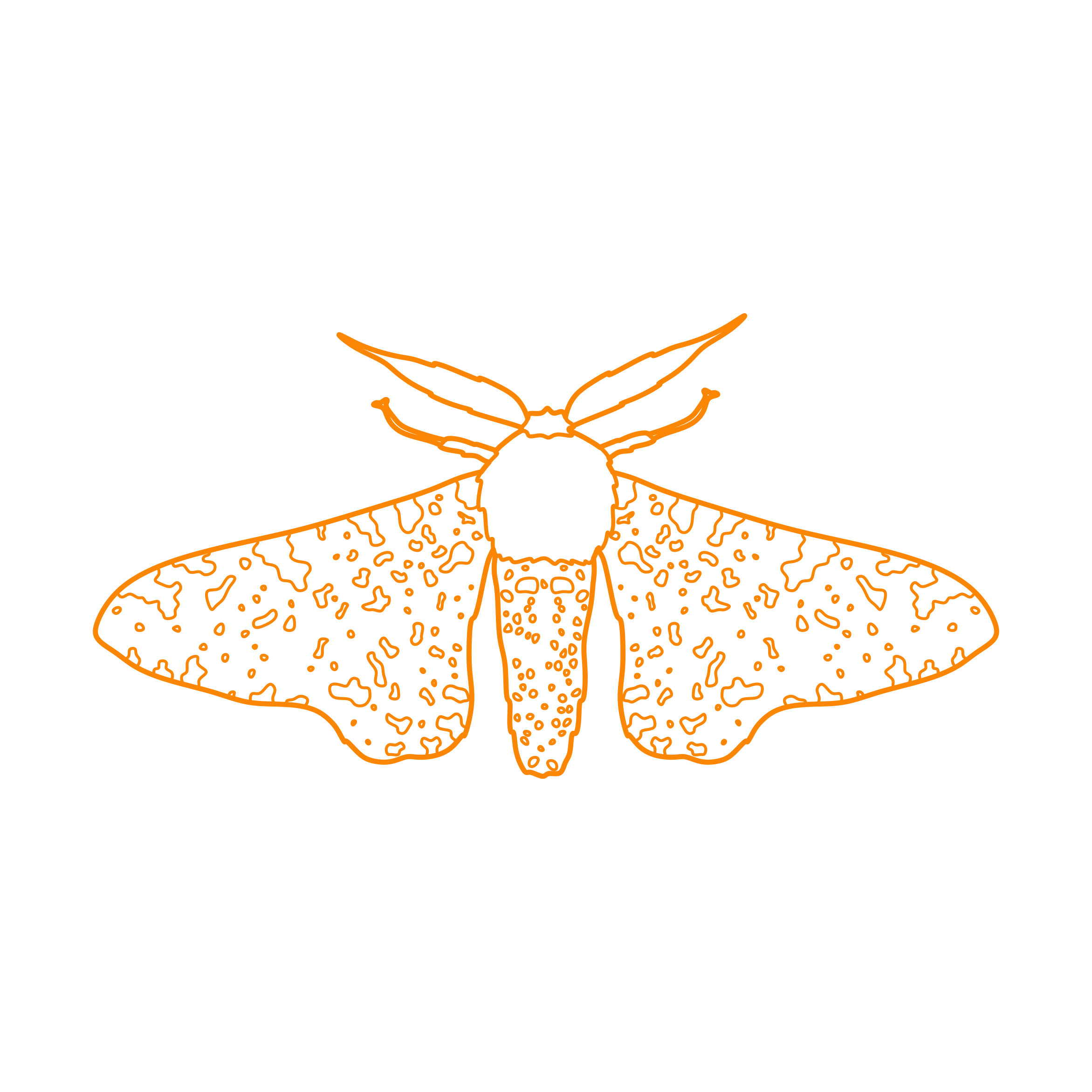 Animals Insects Peppered Moth Vinyl Svg File Free Vectors